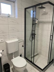 a bathroom with a toilet and a glass shower at M&M Trebinje in Trebinje +27 photos