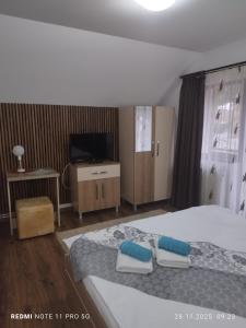 ein Schlafzimmer mit einem Bett mit zwei Kissen und einem Fernseher in der Unterkunft Casa Bran in Buşteni