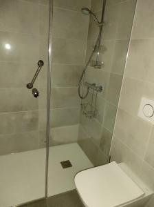 La salle de bains est pourvue d'une douche, de toilettes et d'une porte de douche en verre. dans l'établissement FeWo Garmisch, à Garmisch-Partenkirchen 3 autres photos