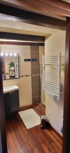 un bagno con doccia, lavandino e specchio di La Tour de la Chapelle - Parking privé a Obernai