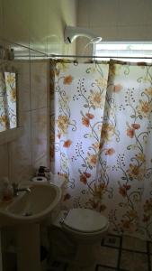 Koupelna v ubytování Chacara do Holandes Voador + 19 fotografií