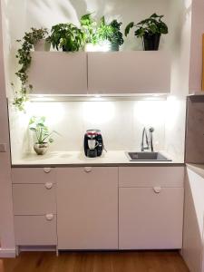 een keuken met planten op de planken bij Apartment mit Garten - Garden view in Kleinmachnow +13 foto's