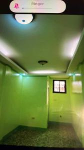 L&N house rental的有绿色墙壁和绿色天花板的房间