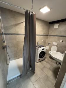 a bathroom with a washing machine and a toilet at Monteurzimmer Renix Heilbronn in Brackenheim