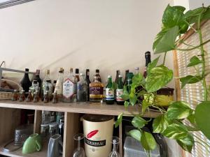 Ποτά στο Project 17