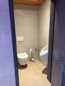 un baño con inodoro y lavabo en Gîte La mésange bleue, en Lohr