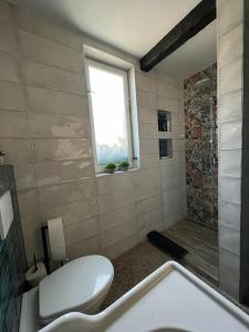 a bathroom with a toilet and a tub and a window at Pancsoló Rigó & Mérges Harkály Apartments in Dunapataj +10 photos