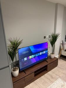 Et tv og/eller underholdning på The EcoStay Apartment