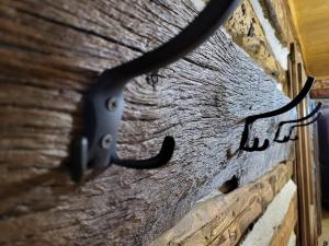 Cykling ved Cerdacul cu Amintiri eller i nærheden