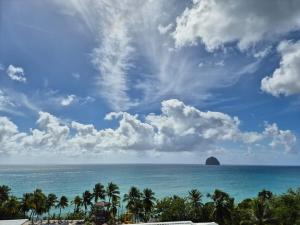 勒迪亚芒On Rock的享有大海和棕榈树海滩的景色