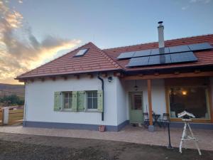 Φωτογραφία από το άλμπουμ του Erdő mellett lebzselő σε Mogyoróska