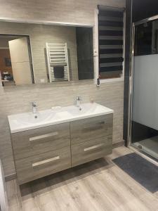 a bathroom with a sink and a mirror at Le Havre de Bois in Bourbourg +21 photos