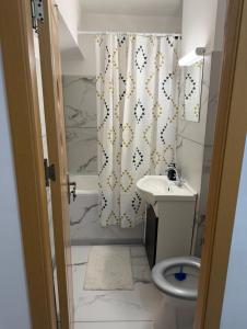 ein Badezimmer mit Toilette und Duschvorhang in der Unterkunft Garsonieră parter, 1 dormitor cu terasa si loc de joacă, PARCARE GRATUITĂ, Craiova in Craiova