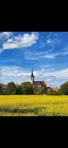 Природа в окрестностях апартаментов/квартиры