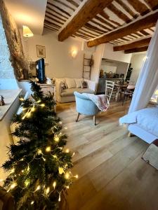 a christmas tree in the middle of a living room at Appartement cosy dans le centre historique de Vence in Vence