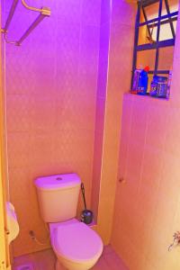 ein rosafarbenes Bad mit einem WC und einer Dusche in der Unterkunft Anifar cozy home in Kahawa + 4 Fotos