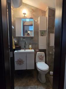 un bagno con un water, un lavandino e uno specchio di Аppartment Dreams a Pamporovo Altre 12 foto