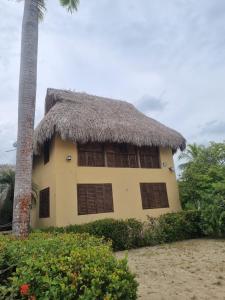 a house with a thatched roof and a palm tree at Hostal nido tortuga in San Antero