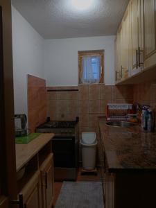 Una pequeña cocina con estufa y fregadero. en Vikendica, en Vlašić