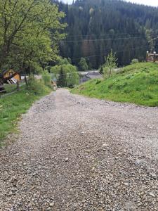 Naturlandskabet i nærheden af pensionatet + 83 billeder