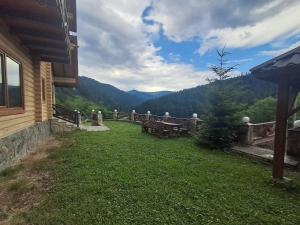 a yard with benches and a view of the mountains at FAMILY еко номери та будинки in Yablunytsya +85 photos