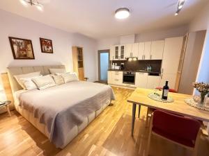 Η κουζίνα ή μικρή κουζίνα στο Apartmán Rotterovka -Ski Resort Herlíkovice & Bubákov