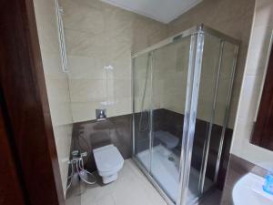 突尼斯Lac 2 Luxury apartment C的带玻璃淋浴和卫生间的浴室