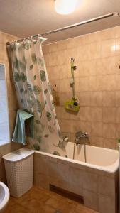 Ένα μπάνιο στο Room Pstina