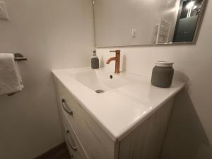 a bathroom with a sink and a mirror at Studio La Maison des Suedois in Saint-Pierre-Bois