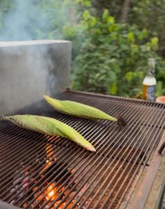 Grillfaciliteterne i lejligheden som gæsterne kan bruge