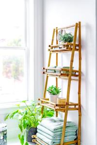 哥伦布Jungle House Luxury Homes - Columbus Downtown Short North - Steps to Convention Center & Nationwide Arena - Sleeps up to 10 - Free Parking - Over 5,800 Five Stars的客房内的木架上摆放着毛巾和植物