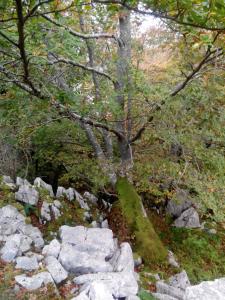 Kép El Cerro szállásáról La Conchában a galériában