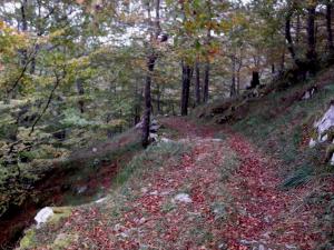 Kép El Cerro szállásáról La Conchában a galériában
