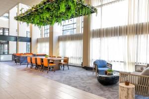 روشيستر ماريوت مايو كلينيك اوريا في روتشستر: لوبي مع طاولة وكراسي ونوافذ