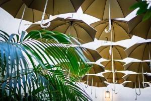 马尔萨拉Le Casette di Elen的挂在墙上的一束伞 更多18张照片