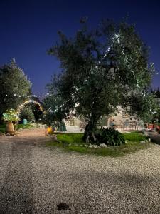 Zahrada ubytování B&B Villa Mediterranea with parking space