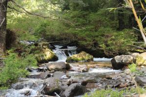 ein Wasserlauf mit Felsen und Bäumen in der Unterkunft 10 hectáreas de montaña con cabaña, senderos, saltos de agua y más in Curacautín