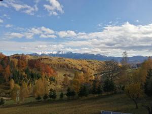 Peisaj natural din apropierea acestei case de vacanță