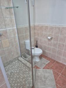 a bathroom with a toilet and a glass shower at Villa Zoe in Glencairn