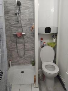 ein Badezimmer mit Toilette und Dusche in der Unterkunft Petit nuit doullet in La Grande-Motte