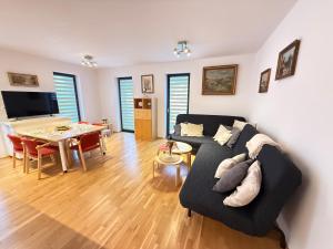 Μια τηλεόραση ή/και κέντρο ψυχαγωγίας στο Apartmán Rotterovka -Ski Resort Herlíkovice & Bubákov