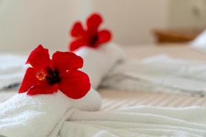 Ένα ή περισσότερα κρεβάτια σε δωμάτιο στο Arillas Dream Studios