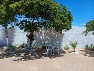 - une table et des chaises sous un arbre sur la plage dans l'établissement Hostel Mamitchesca - Redes e Barracas, à Aracati