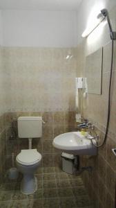 ドブリニシュテにあるTsvetkovi Guest Houseのバスルーム(トイレ、洗面台付)