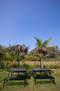 Nature Bloom Resort في Paror: طاولتين للتنزه مع مظلات في الميدان