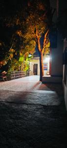 un albero davanti a un edificio di notte di The Jungle Gate Villa a Udaipur