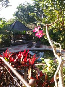 Fotografie z fotogalerie ubytování Vacation home with pool in Ubud, Bali v Ubudu