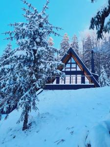 eine Hütte im Wald im Schnee in der Unterkunft Gorje Tara in Sekulić 