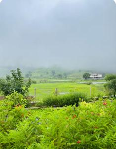 a view of a field with green plants at Staymisty igatpuri in Igatpuri