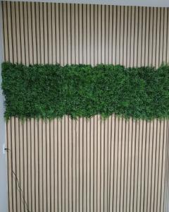 Φωτογραφία από το άλμπουμ του Casa de veraneio - Alter do chão σε Alter do Chao